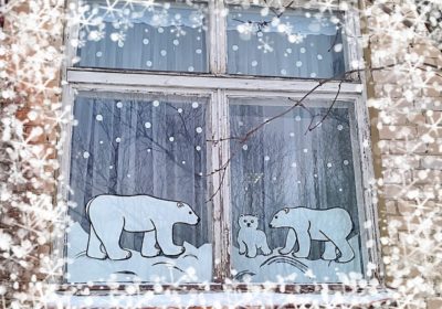 «Медведи на Севере»