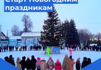 «Когда зажигаются ёлки»