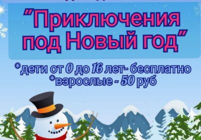 Приключения под Новый год
